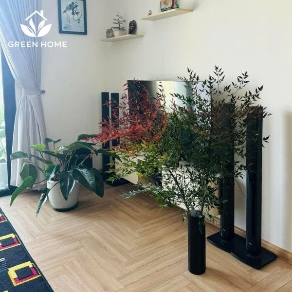 sàn gỗ JanHome Aqua xương cá JHAX 2212